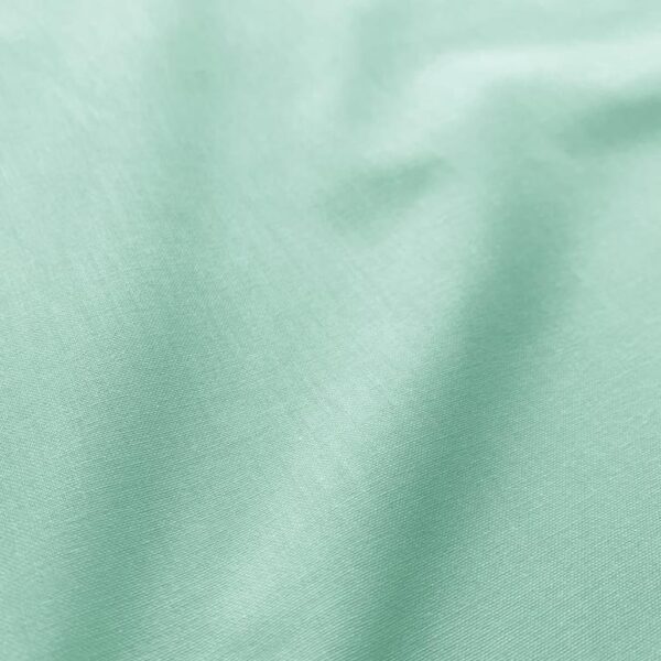 CTN Menthe uni
