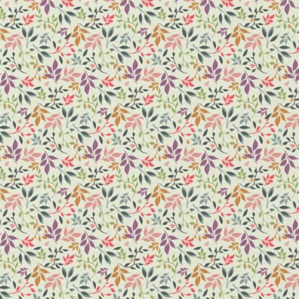 Coton Arageo