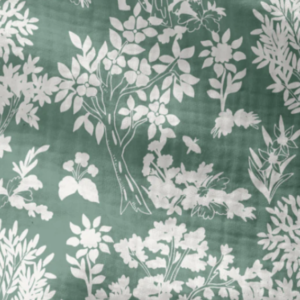 Double gaze Caracal vert